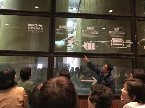 神戸ワイナリー　説明を聞く様子